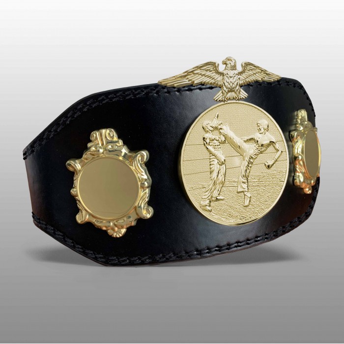 KICKBOXING CHAMPIONSHIP TITLE BELT BUD004/G/KBOG-4 COLOURS